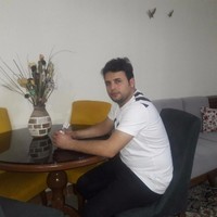 saeid n
