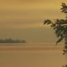 Taunia Tousley