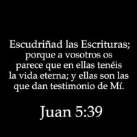 Adolfo Torres Jasso