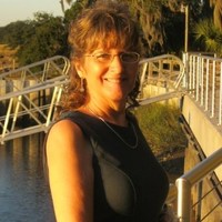 Lisa Hulett