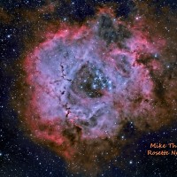 Michael Thorne