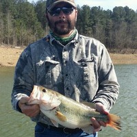 Tim Williams