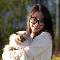 MengYao LI