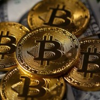 troll coin