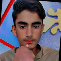 Safeer Bhutto