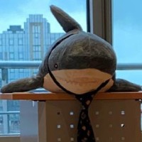Harald Wireshark