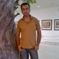 Tariq Alvi