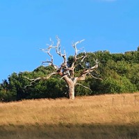 Jorge Sanchez Manzano