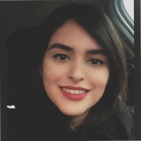Mehrnaz Mahdieh