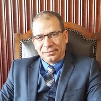 Mohamed Kamel Aloush