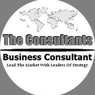 Management Consultant