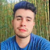 Guilherme Gomes Ribeiro