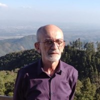 Silvio Pereira Diniz Filho
