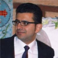 Hany S. Girgis