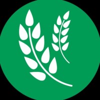 SICA EST ALI BIO