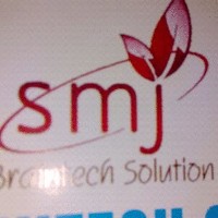Smj Braintech Solution