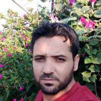 علاء الصالح