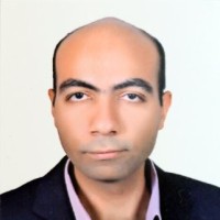 Hisham Diab, PMP
