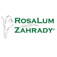 Lucia Chromčíková