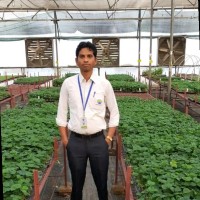 Rahim Patel