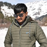 Praveen N