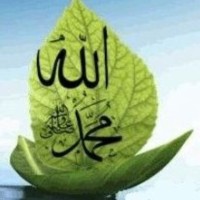 muhammad ashfaq
