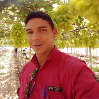 cleilson costa