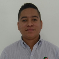 Joaquin David Ballestas Coneo