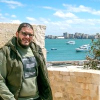 Hesham Abu Elenain
