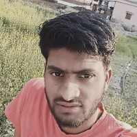 Pal Sahab