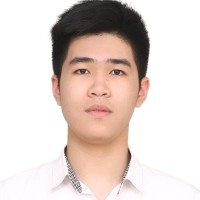 Duc Anh Pham