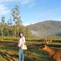 Dina Puspita Sari