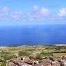 片山茂夫