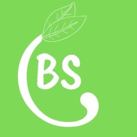bs Consultoria