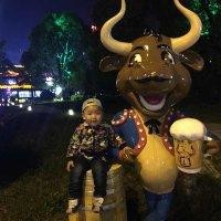 马荣林