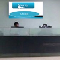 Merry John