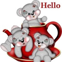 ajay negi