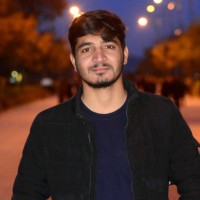 Ameer Ali