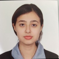 Sadaf Hassan Zada