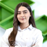 Ani Yeremyan