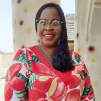 Olutope Olatilewa E. -- Business Strategist - Global Change Leader