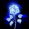 Pop Blue