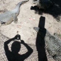 Juraj Golubiček