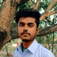Raju Roy