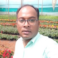 Prakash Paul