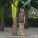 Nikhil Lamture