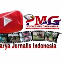 Pmg Picturecinema