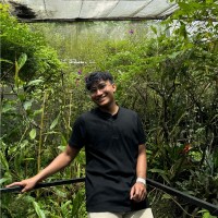 Muhd Aiman