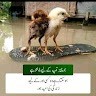 Waseem Khan
