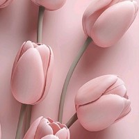 susana W